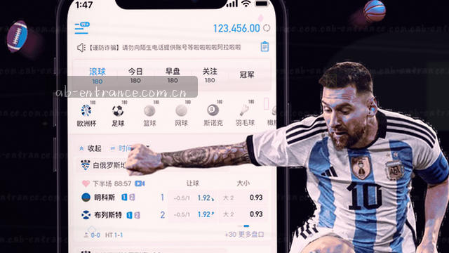 入口聚合路径优化